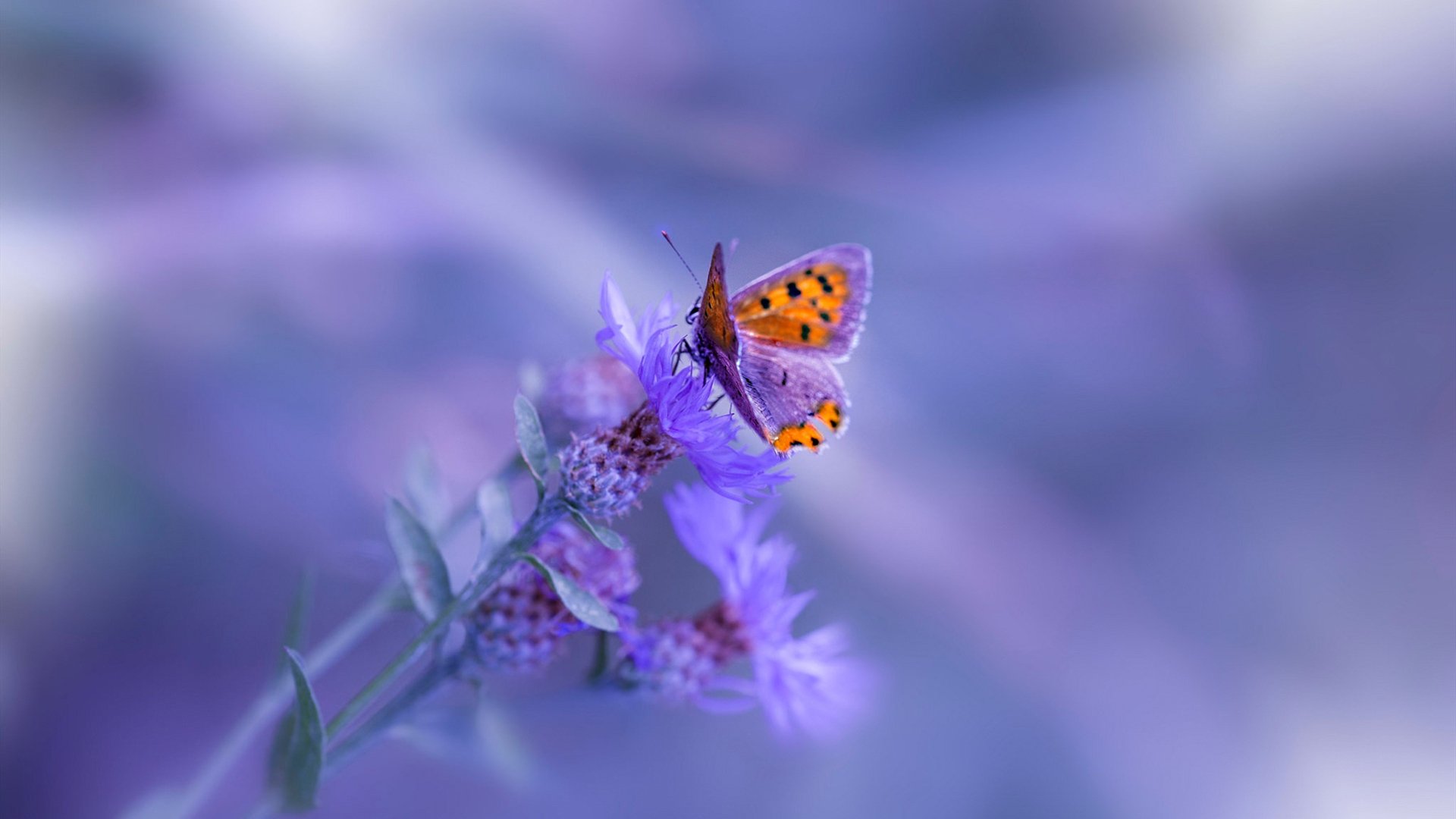 体育产业市场拓展策略研究，体育产业市场拓展策略研究报告