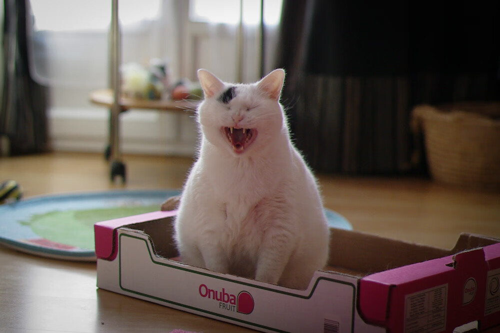 体育产业市场拓展策略研究，体育产业市场拓展策略研究报告